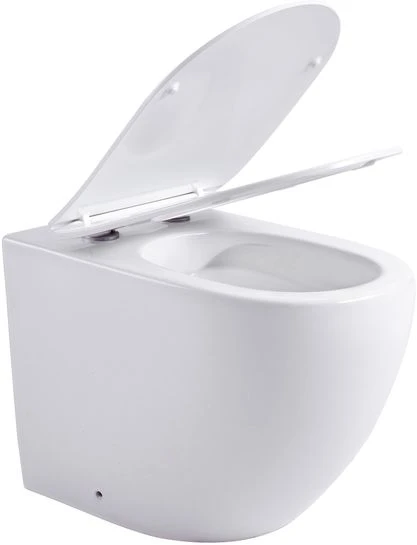 Фото Унитаз приставной Aquanet Rimless Cetus 2.0 F LX-1902