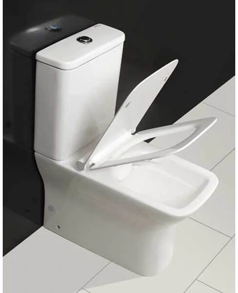 Фото Унитаз-компакт BelBagno Romano BB248CPR-P+BB248T+BB2112SC