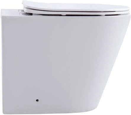 Фото Унитаз приставной Aquanet Rimless Atago 2.0 F LX-1906