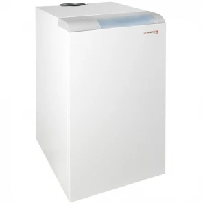 Фото Напольный газовый котёл Protherm 40 TLO Медведь (40TLOR15)