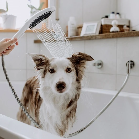 Фото 26640700 HG DogShower ручной душ для собак 150,3jet,матовый белый