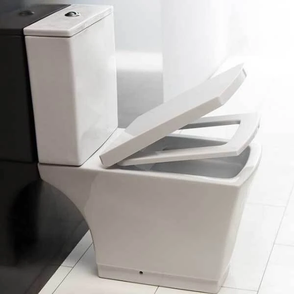 Фото Унитаз-компакт BelBagno Regina BB104CP+BB104T+BB104SC