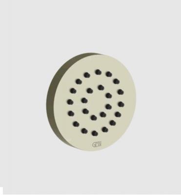 Фото Форсунка, Gessi, Body Jets, боковая, цвет-Nickel PVD (старый арт. 32971/720)