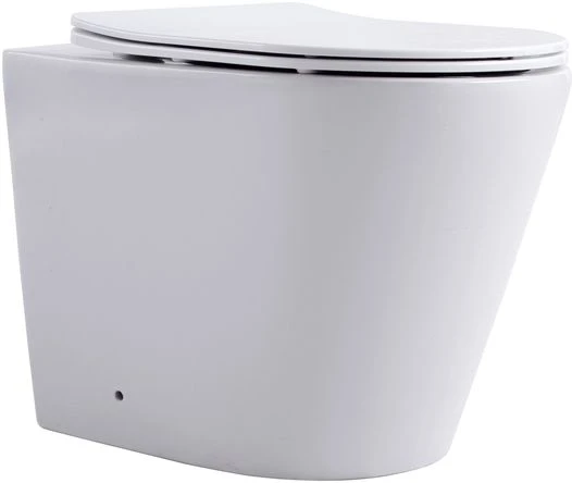 Фото Унитаз приставной Aquanet Rimless Atago 2.0 F LX-1906