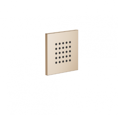 Фото Боковой душ, Dornbracht, Series–various, WATER POINTS, цвет-шампанское сатинированное