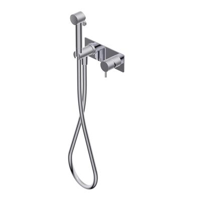 Фото Ritmonio Toilet accessories Гигиенический душ из латуни со смесителем, внешняя часть, цвет: Brushed