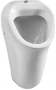 Фото Писсуар VitrA Arkitekt 6202B003-0198