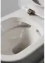 Фото Унитаз приставной BelBagno Prado BB10150CB