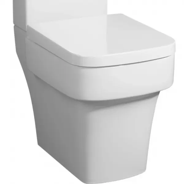 Фото Чаша с сидением для унитаза BelBagno Janice BB124CP+BB124SC