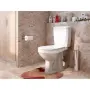 Фото Унитаз-компакт Оскольская керамика "Элисса - Оптима" Стандарт 43901130302