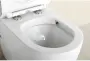 Фото Чаша с сидением для унитаза BelBagno Sfera-R BB006CPR+BB2034SC