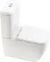 Фото Унитаз-компакт BelBagno Alpina BB0159CPR+BB0159T+BB0159SC
