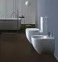 Фото Чаша унитаза-компакта Laufen Palomba collection 8.2480.1.000.000.1 универсальный выпуск