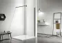 Фото Душевая перегородка Aquatek AQ WIW 10020BL Walk in с держателем 1000x2000 профиль черный, стекло прозрачное