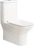 Фото Унитаз с бачком BelBagno Romano BB248CPR-P+BB248T
