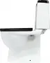 Фото Унитаз-компакт Sanita Luxe Best Color Black BSTSLCC06100522 с сиденьем Soft Close