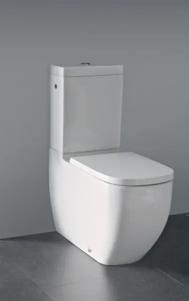 Фото Чаша унитаза-компакта Laufen Palomba collection 8.2480.1.000.000.1 универсальный выпуск