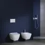 Фото Комплект унитаза Geberit Smyle 500.300.21.S