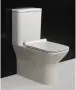 Фото Унитаз с бачком BelBagno Romano BB248CPR-P+BB248T